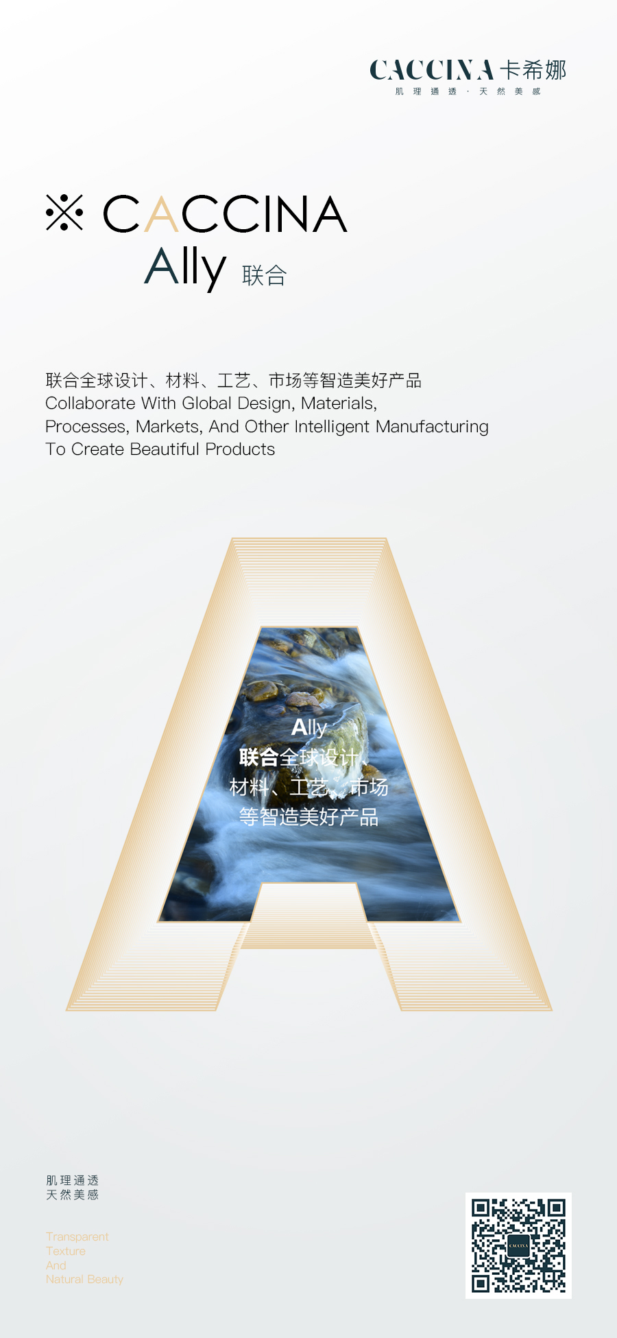 卡希娜-CICCINA的解读02