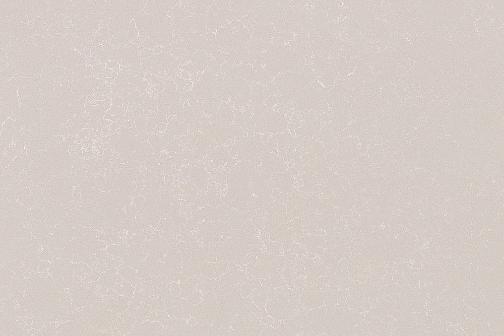 Ca8053_墨池丹花细节图2