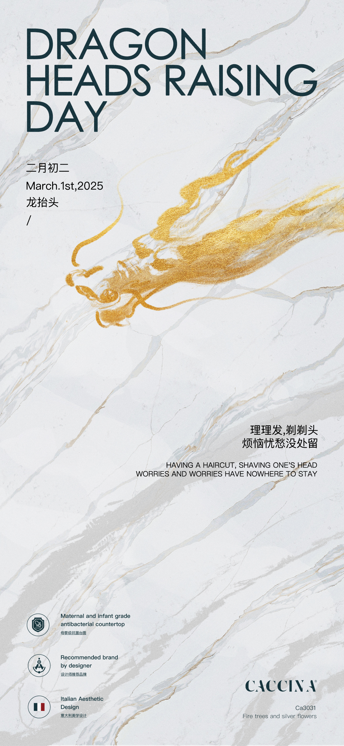 卡希娜龙抬头无码