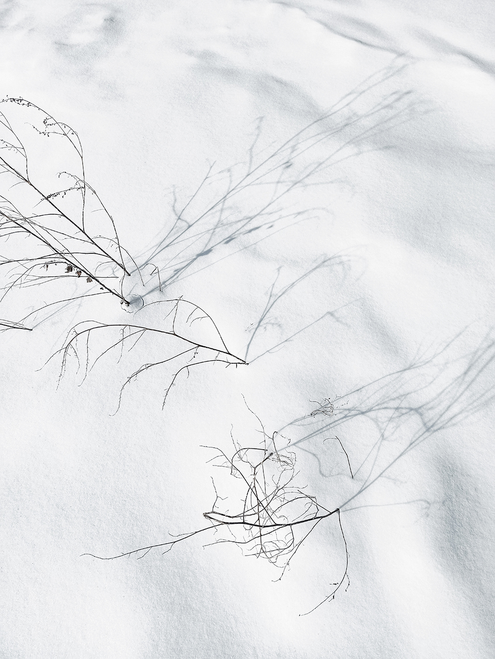 Ca8006-5_青丝引描述图2