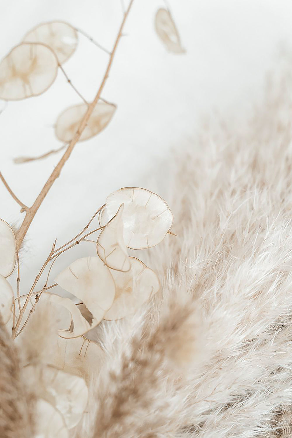 Ca9022_暖阳描述图2